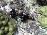 2011-09-07 14-37-14 Steven